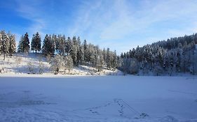 Ferienwohnung Hirschkopf Im Suedschwarzwald